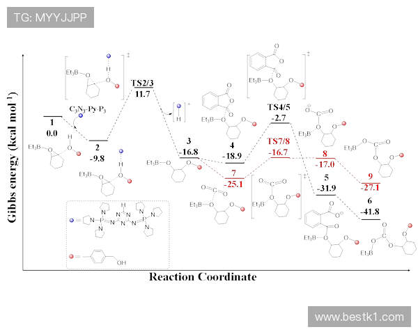 在体系驱动下布斯克茨与卡塞米罗中场组织结构分化趋势